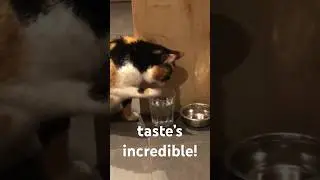 Only out of a human glass