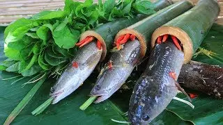 Primitive Technology: Cooking Fish in Bamboo