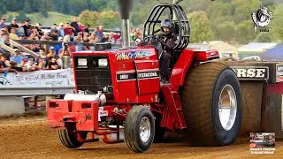 Tractor Pulling 2025: 2 classes of Super Farm Tractors pulling at the Viola, WI Horse & Colt Show!