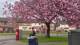 Spring Time