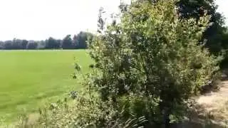 Bellingwolde en haar omgeving