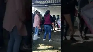 Como se.baila en la mesteta purepecha