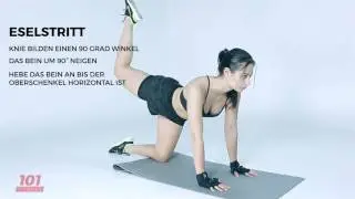 101 Fitness - EX 049 Eselstritt  (GE)