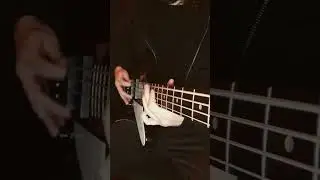 TOOL - Vicarious (Bass Guitar Cover)