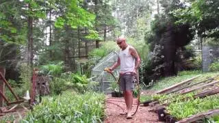Palm Nursery Irrigation