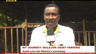 GHANA'S DAIRY INDUSTRY - A CASH COW FOR GHANA'S ECONOMY