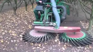 Facma hazelnoot/hazelnuts raper, oogsten, oprapen, in ospeldijk