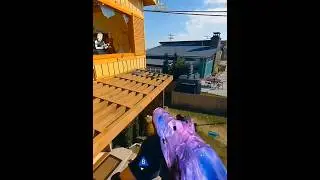BO6 - Weil's so sch&ouml;n war, gleich nochmal 😄 #bo6 #killstreak #multikills #omnimovement #gameplay