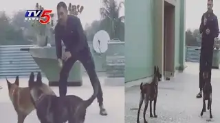 Lovable Video Of MS Dhoni Playing With His Dogs | Latest video of Ms Dhoni | TV5 News