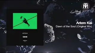 Artem Kai - Dawn of the Soul (Original Mix) [Bullfinch]