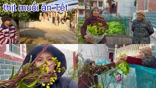 [1109]Sau 1Tháng Ở Cử_Hôm Nay 2Mẹ Con Lại Tiếp Tục Đi Hái Cải Ngồng.