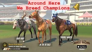Получите золото легко! 1,16 тыс. золота &mdash; Rival Stars Horse Racing Mobile