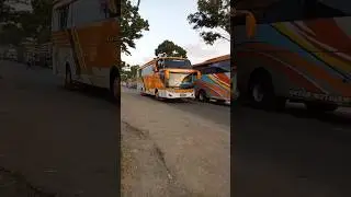 Bus TIVIDI ngacir Silver Class #busmania #shorts
