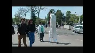 maria heidemann dancing for dolphins freedom - against captivity