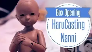 HaruCasting Nanni Box Opening
