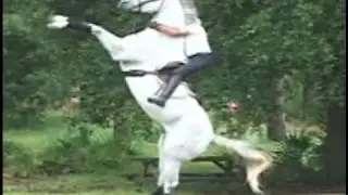 Horse Rearing Extreme