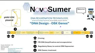 Gen therapy Course (11/30) -Genetic Design - OSK Genes;  Genes Of Interest OSK (GOI, OSK)
