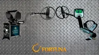 Сравнение Minalab Explorer SE и CF77