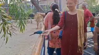Mesmerizing Moments: Birds Feeding at Trichy Birds Park #BirdFeedingTime #Birds park