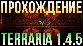 Прохождение Terraria 1.4.5 Обновление! Глаз Ктулху, Король слизней, Мозг Ктулху, Пчела, Скелетрон #3