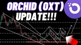 Orchid OXT Crypto Coin Update!