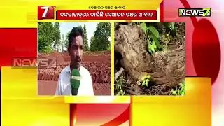 Illegal Mining In Dhenkanal By Stone Mining Mafia Gang