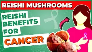 Reishi Mushroom Benefits for Cancer Treatment and Prevention