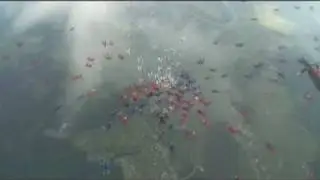 169 way 2009  (оператор Веселов А.)