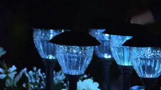 Ships 4/10 Paradise 10pc Solar Light Set w/LumaBright Technology with Sandra Bennett