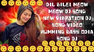 dil bilei meow meow odia dj song new humming bass and odia dj remix odia dj song new dj sb dhapada