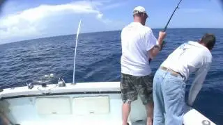 Deep sea fishing with Incentive Charters off Sebastian Inlet