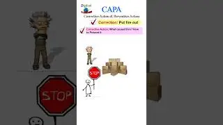 Пример CAPA #CAPA #short