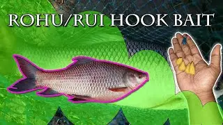 Rohu Hook Bait 100% Result