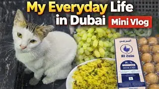 Daily Expat Life in Dubai 🇦🇪 | Simple Mini Vlog