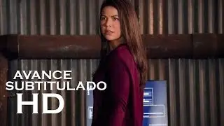 Arrow 7x14 Avance 