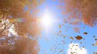 You Are Love: Embracing Your Existence with this Transformative Self-Care Meditation