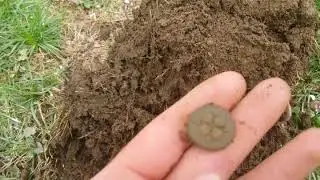 Metal Detecting finds GAR Civil War Veteran's Medal in Massachusetts