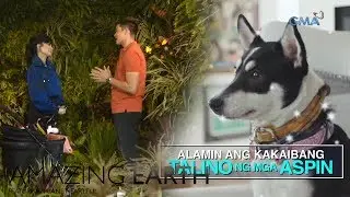 Amazing Earth: Get to know Heart Evangelista and her favorite aspin | Teaser Ep. 68