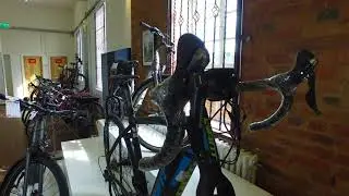 Giant Road-e Plus 1 Electric Bike 2017