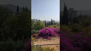Красивый, зелёный город Кармиэль в Израиле