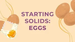 Starting Solids: Egg Recipes for Baby-Led Weaning | Your Baby Club