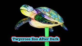 Epic First Ever Lanterns of the Wild at Twycross Zoo – Full Walk Through