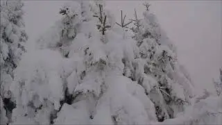 Pas de Morgins - Les T&ecirc;tes - Bec de Corbeau(1991m), Valais, Suisse, 11-11-2017