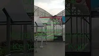 Program Ketahanan Pangan Desa Karangpucung.