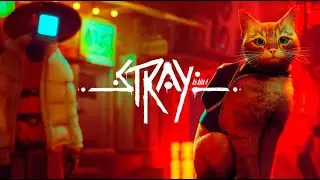 El Rascacielos - Stray #4