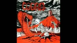 Longest Night-Cobra