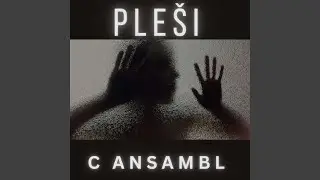 Ple&scaron;i
