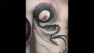 🐍🐍Big snake tattoo in progress 🐍🐍