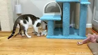Charles works on his parenting skills