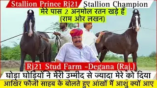 डेगाना के फौजी साहब के 2 अनमोल घोड़े आखिर क्यों फौजी साहब की आंखों मैं आए आंसू !